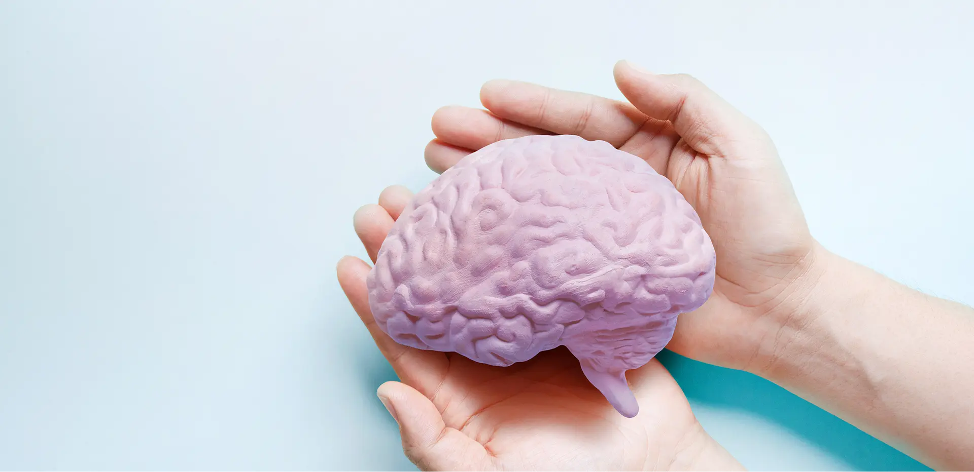 脳ドック（脳検診）