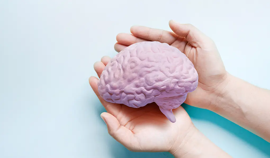 高性能MRIによる脳ドック（脳検診）