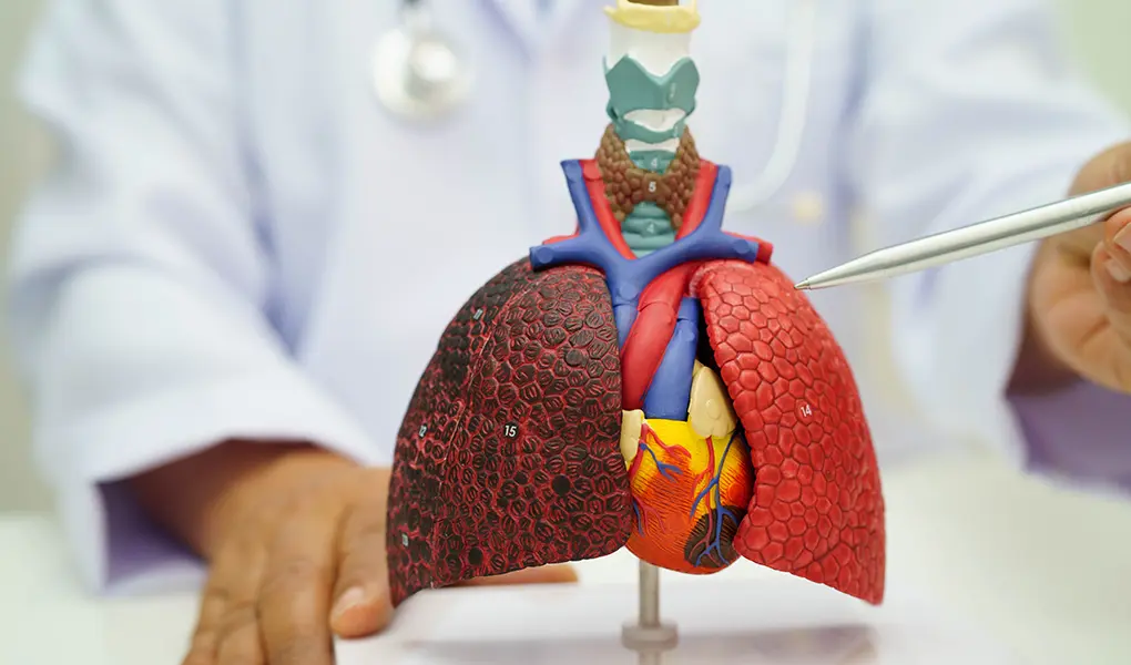 MRCP（MR胆管膵管撮影）